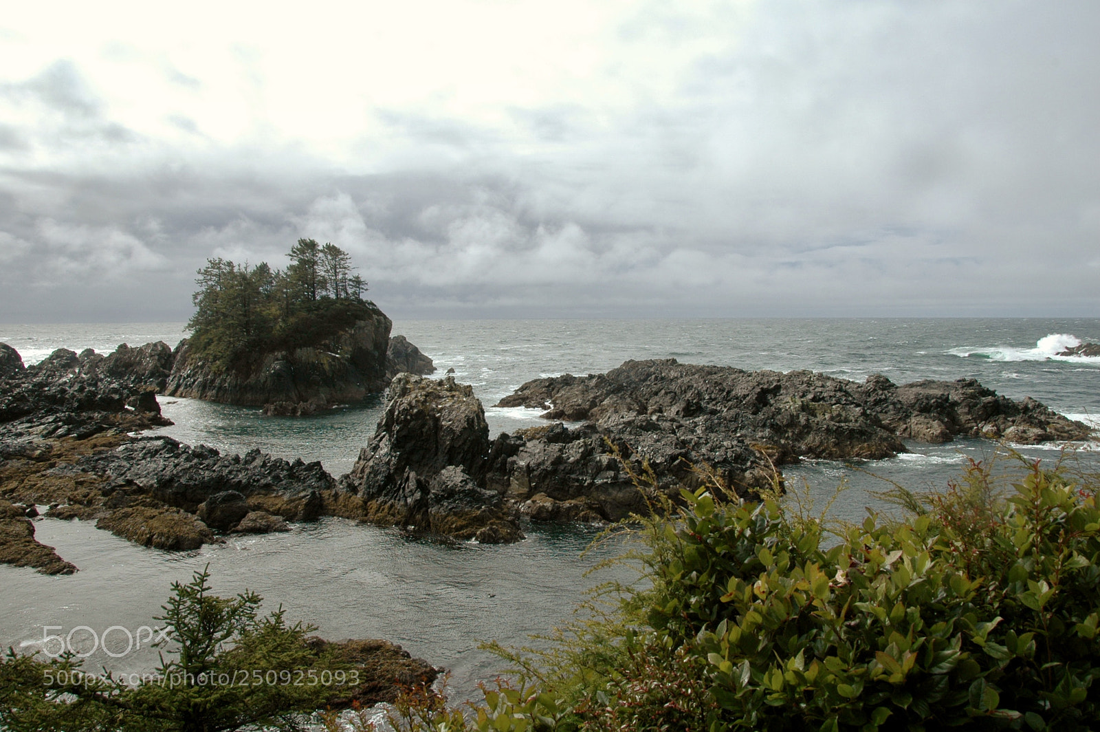 Nikon D70 sample photo. Fullsizeoutput e photography