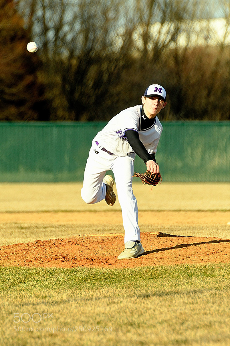 Nikon D500 sample photo. 3-22_0125.jpg photography