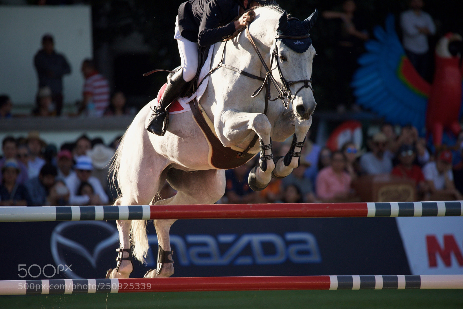 Nikon D810 sample photo. Longines world tour, mexico photography