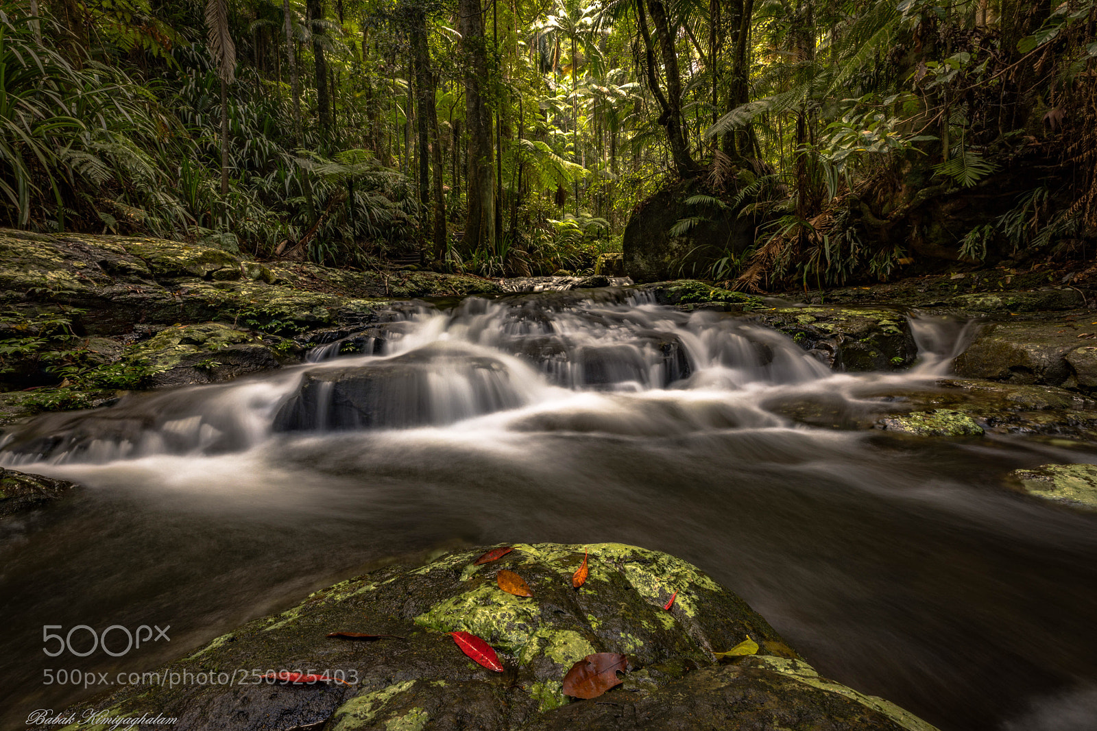 Canon EOS 5D Mark IV sample photo. Nightcap national park  photography