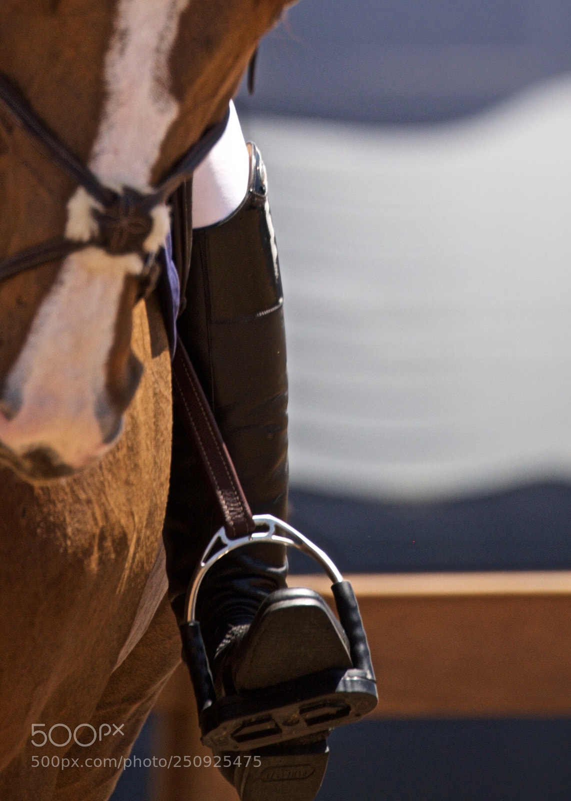 Nikon D810 sample photo. Longines world tour , mexico photography