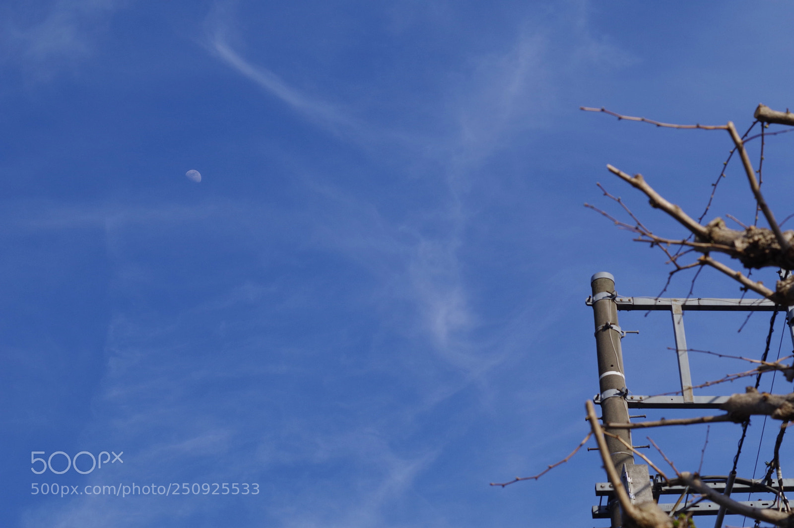 Pentax KP sample photo. Inr photography