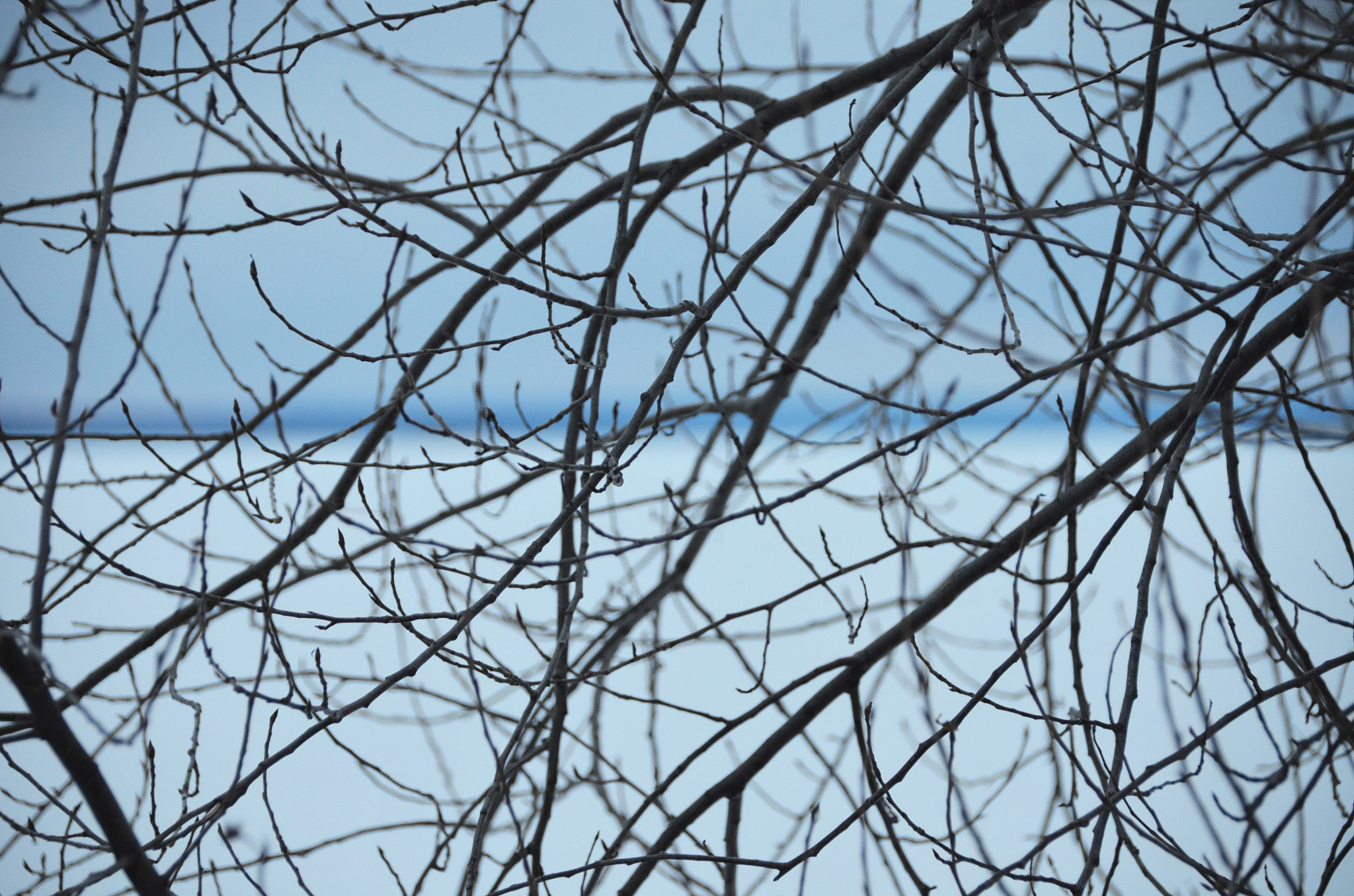 Nikon D7000 sample photo. (intertwined) photography