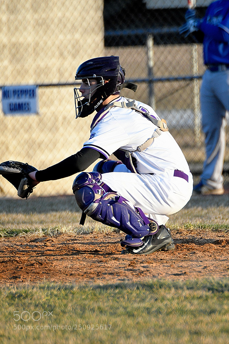Nikon D500 sample photo. 3-22_0599.jpg photography