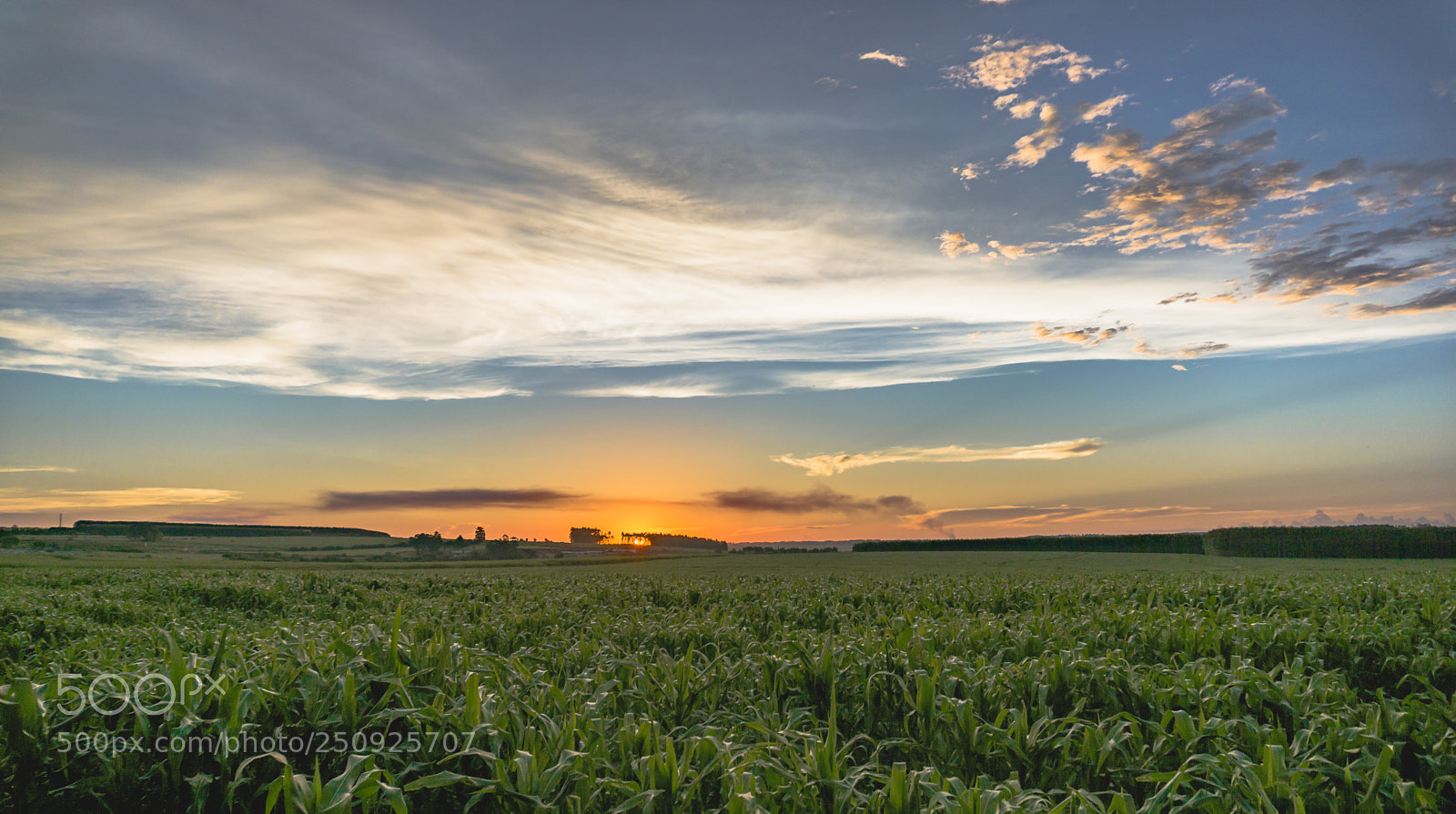 Sony a6000 sample photo. Por do sol ccp photography
