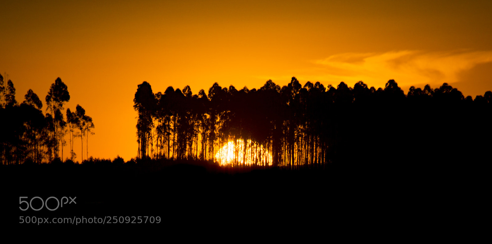 Sony a6000 sample photo. Por do sol ccp photography