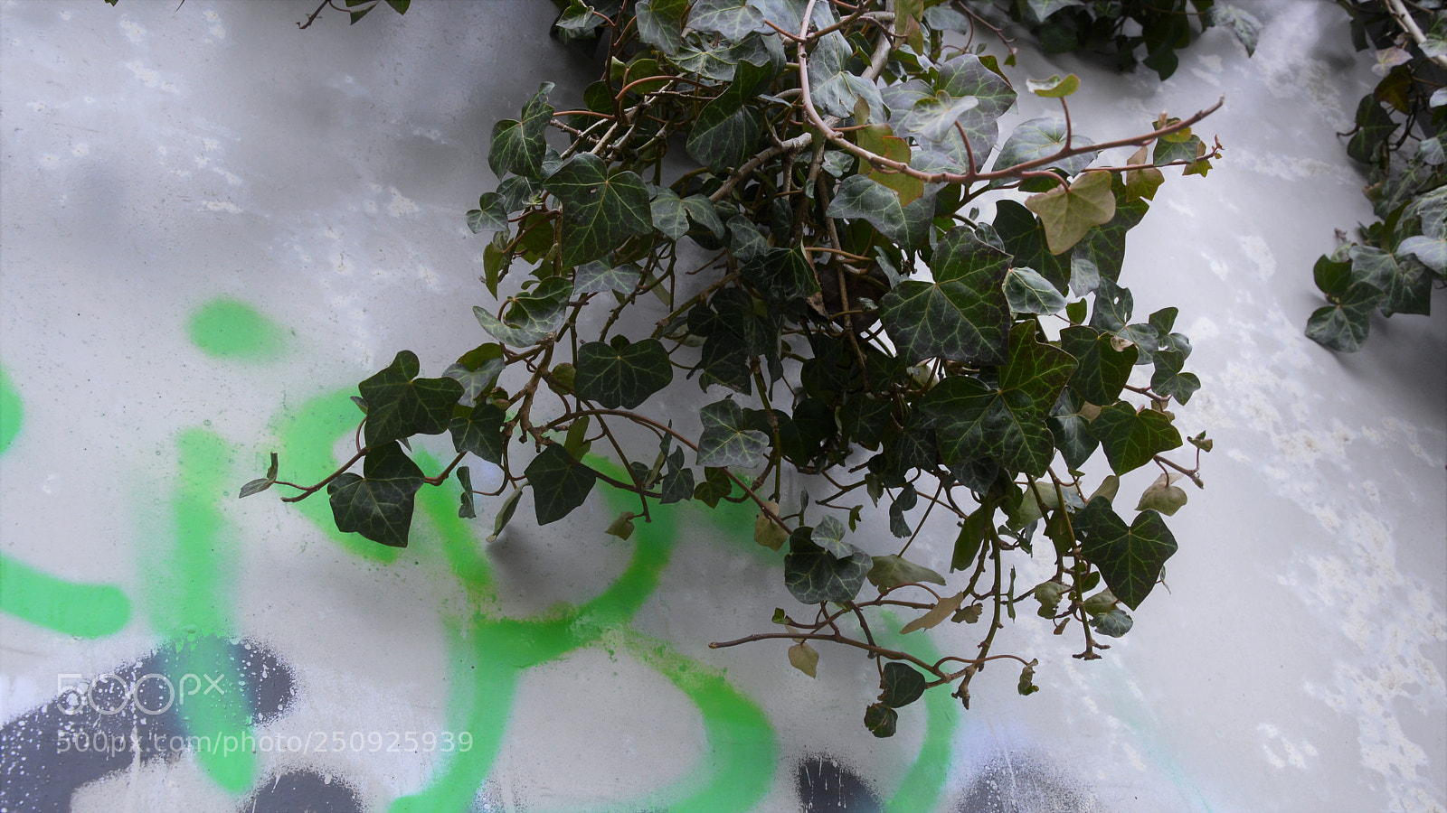 Nikon D3200 sample photo. Untitled photography