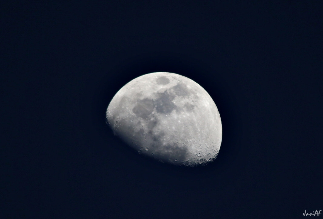 Canon EOS 70D + Sigma 150-500mm F5-6.3 DG OS HSM sample photo. Luna nueva photography