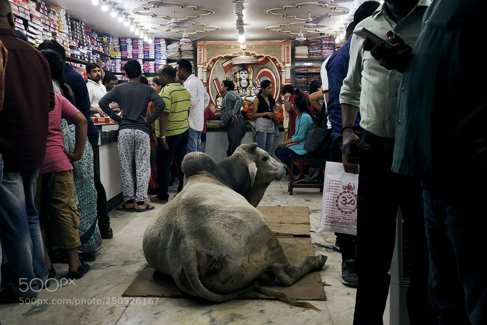 Fujifilm X-T2 sample photo. India photography