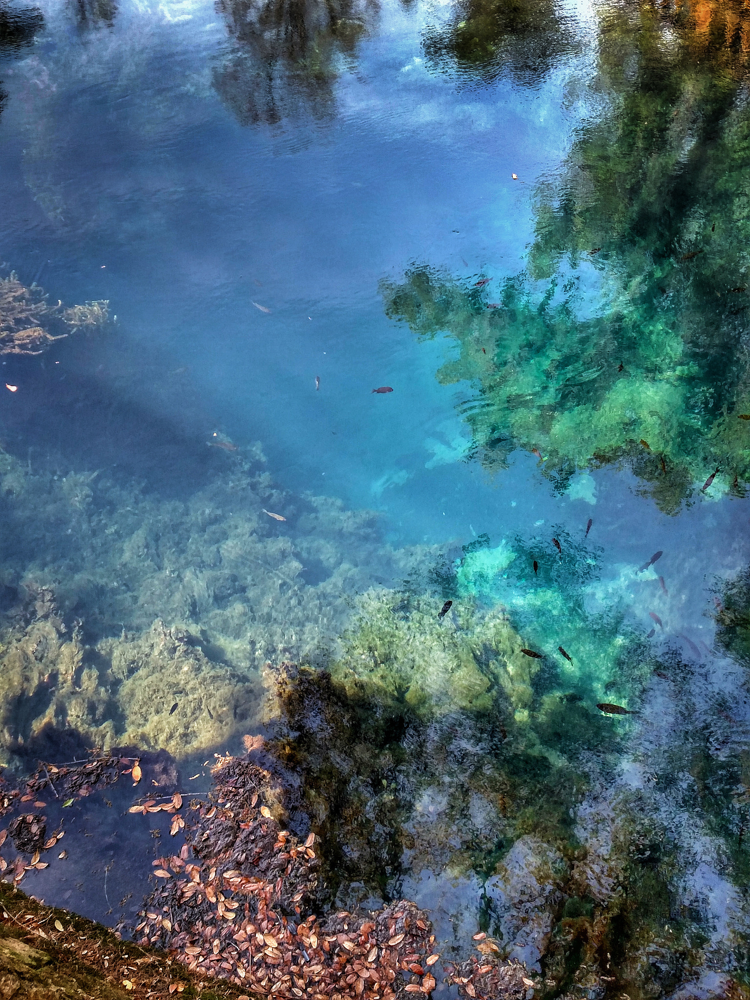 Motorola Droid Turbo sample photo. Blue hole reflections photography