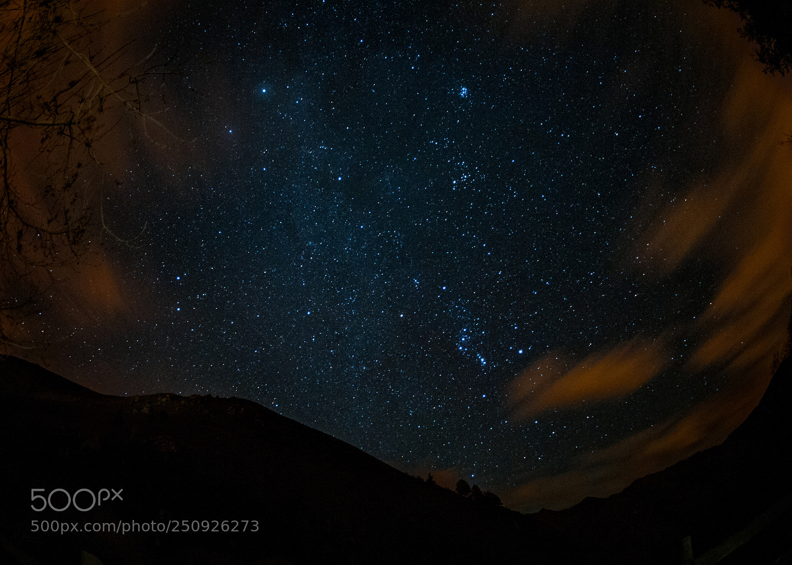 Nikon D300S sample photo. Summer nights with orion photography