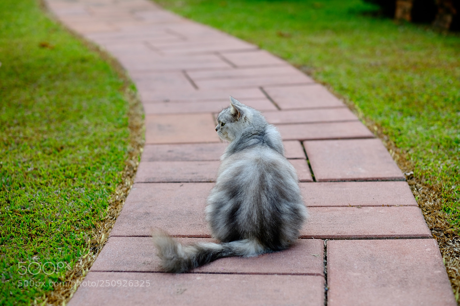 Fujifilm X-E3 sample photo. Untitled photography