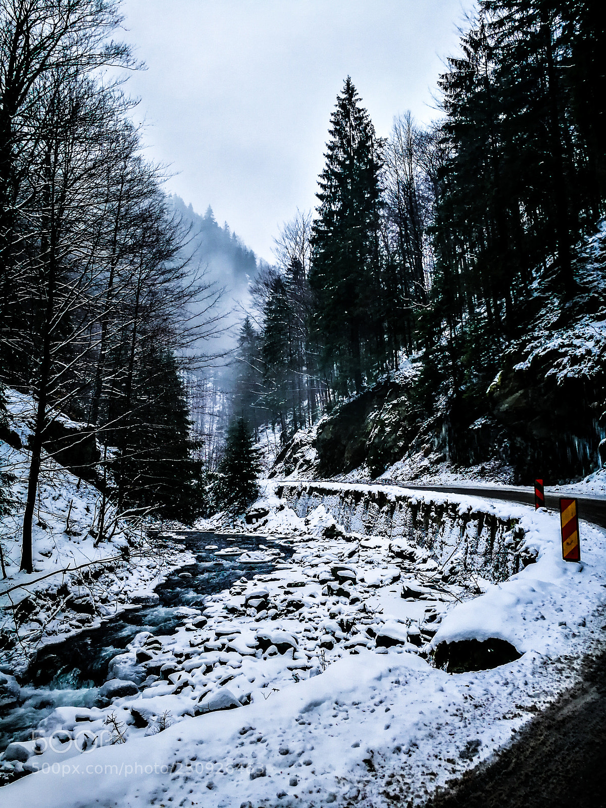 HUAWEI P10 sample photo. Winter time photography