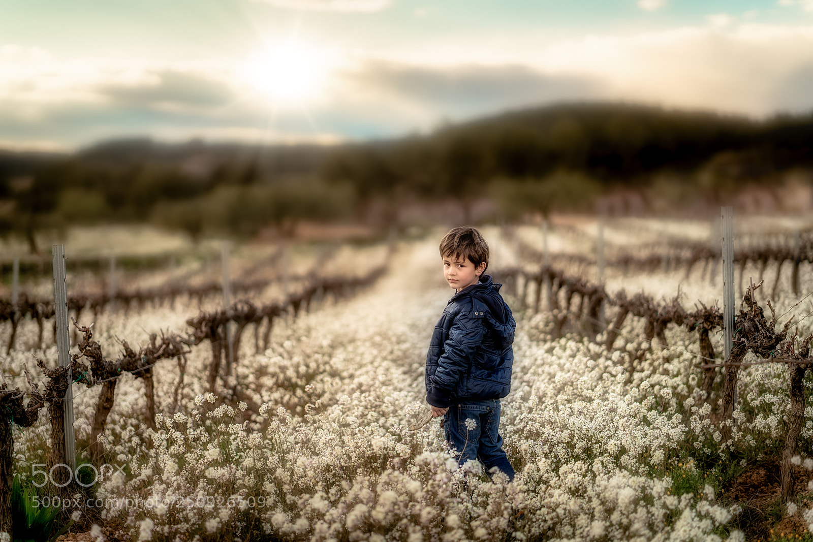 Sony a7R II sample photo. Hello spring photography