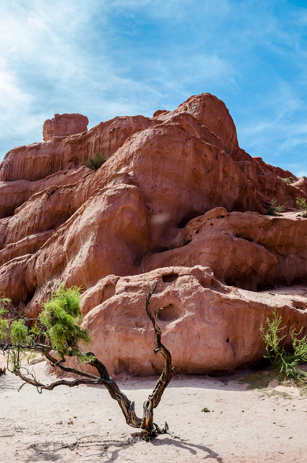 Nikon D5100 sample photo. Cerro en cafayate, salta photography