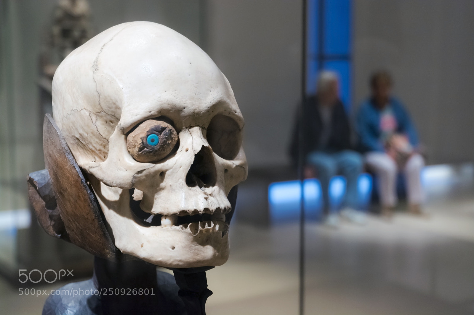 Nikon D7100 sample photo. Death in the museum photography