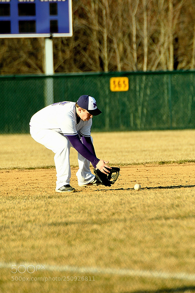 Nikon D500 sample photo. 3-22_0138.jpg photography