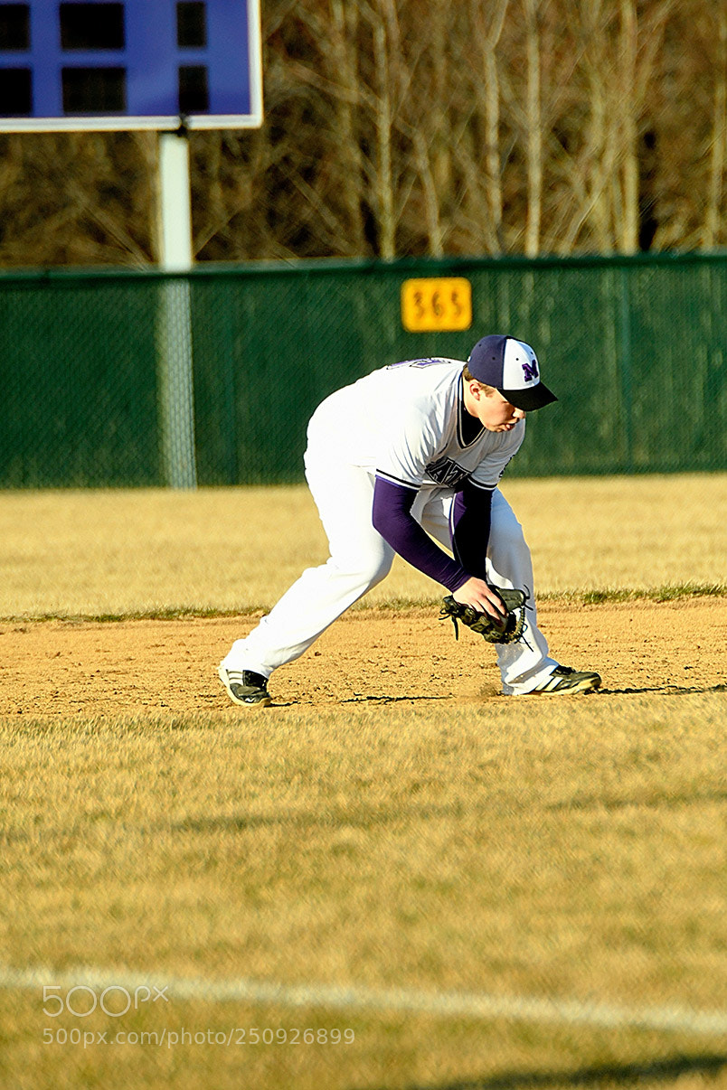 Nikon D500 sample photo. 3-22_0140.jpg photography