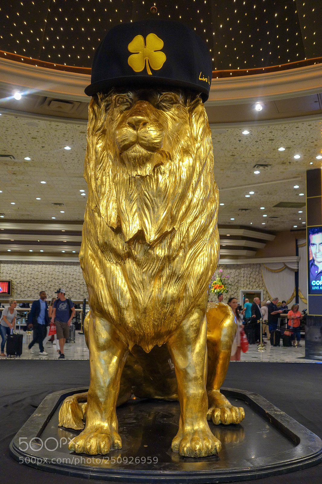 Sony Cyber-shot DSC-RX100 sample photo. Lucky lion photography