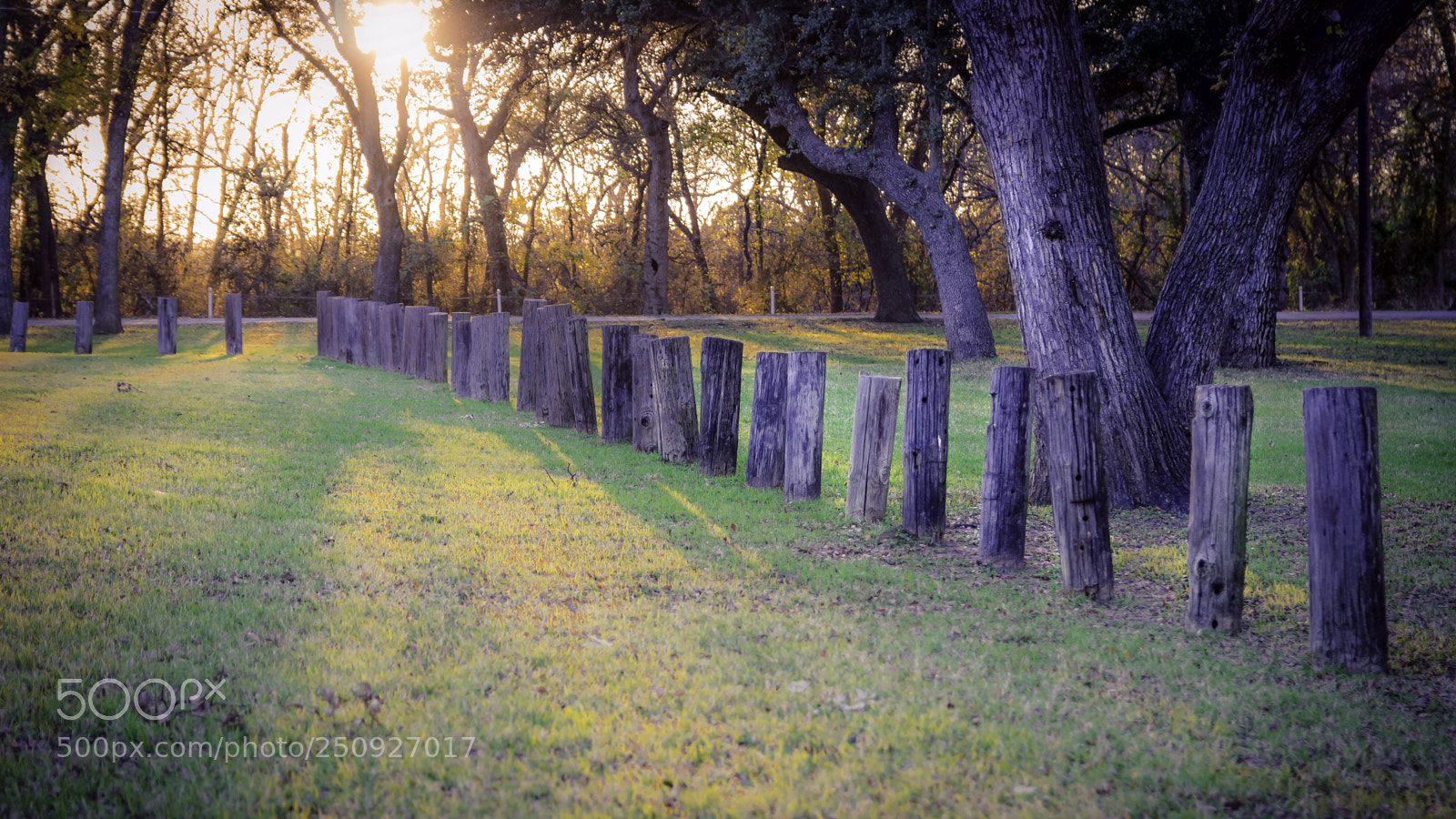 Canon EOS 600D (Rebel EOS T3i / EOS Kiss X5) sample photo. Sunset on poles photography