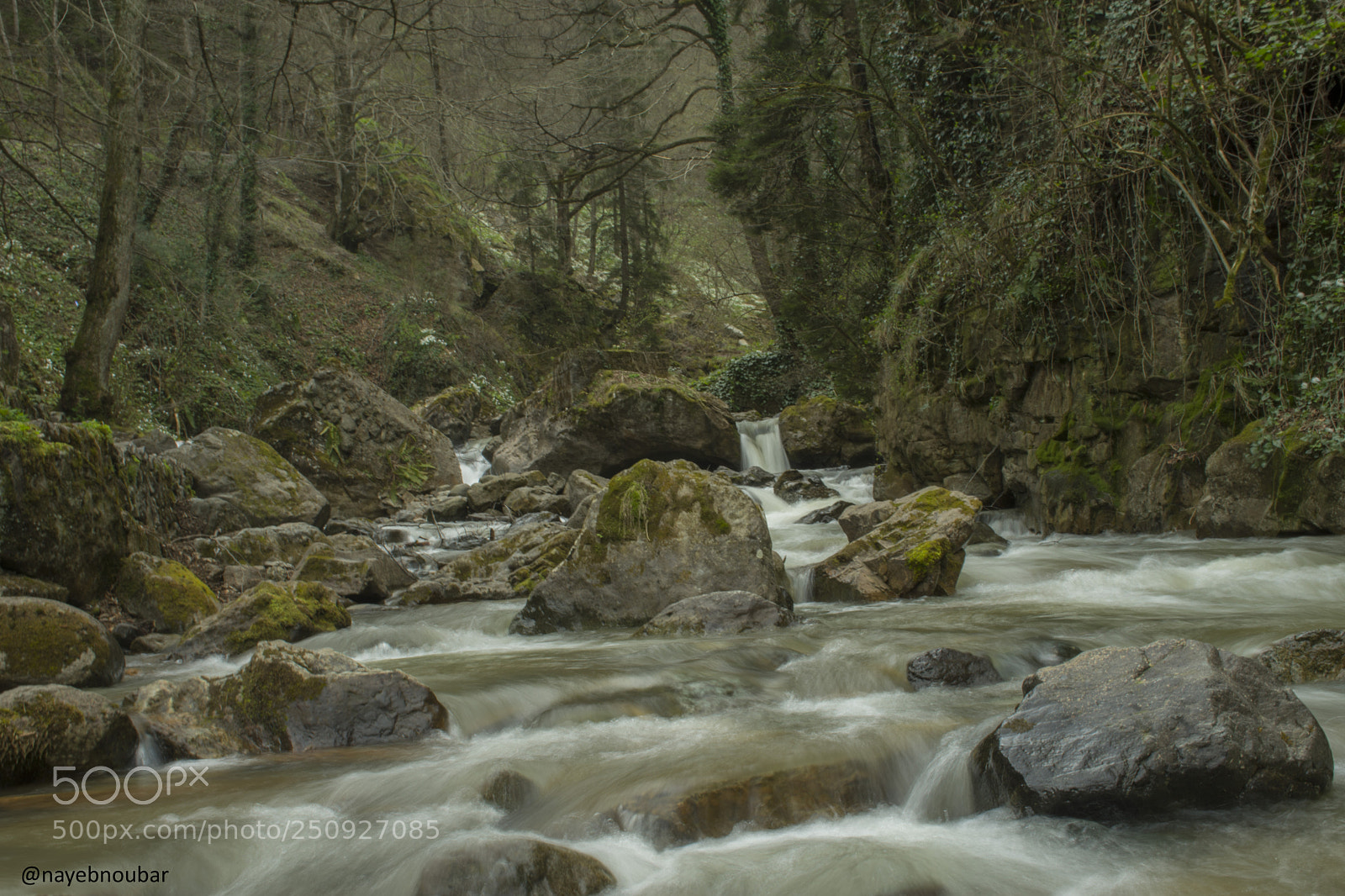 Nikon D7200 sample photo. 1005.jpg photography