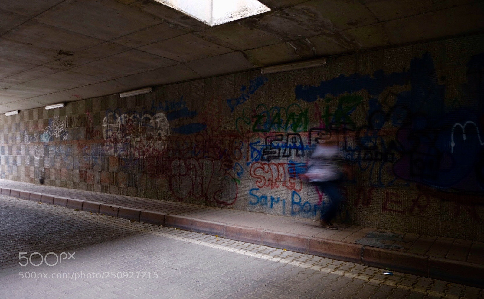 Fujifilm X-T20 sample photo. Road runner photography