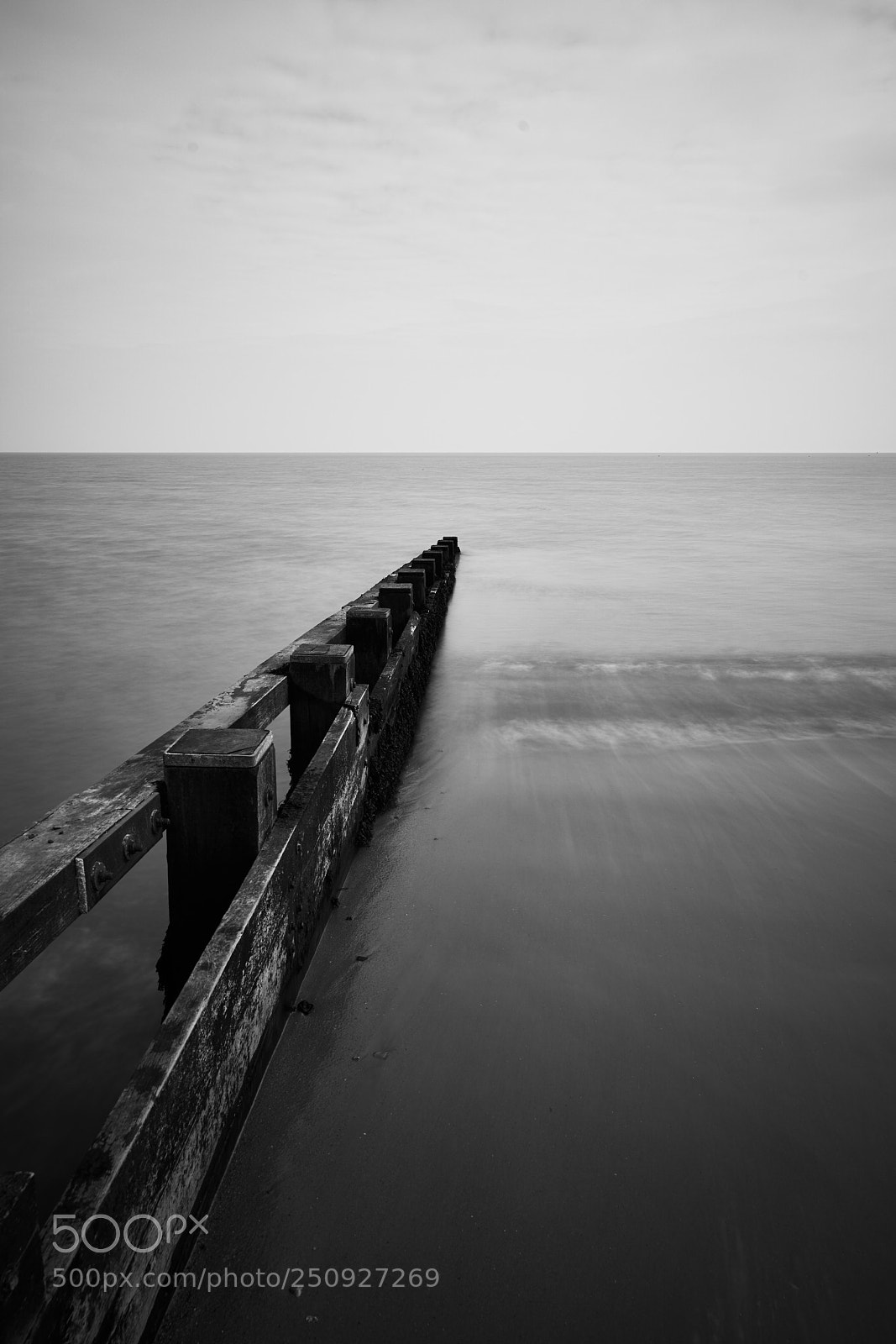 Sony a7R III sample photo. Dsc photography