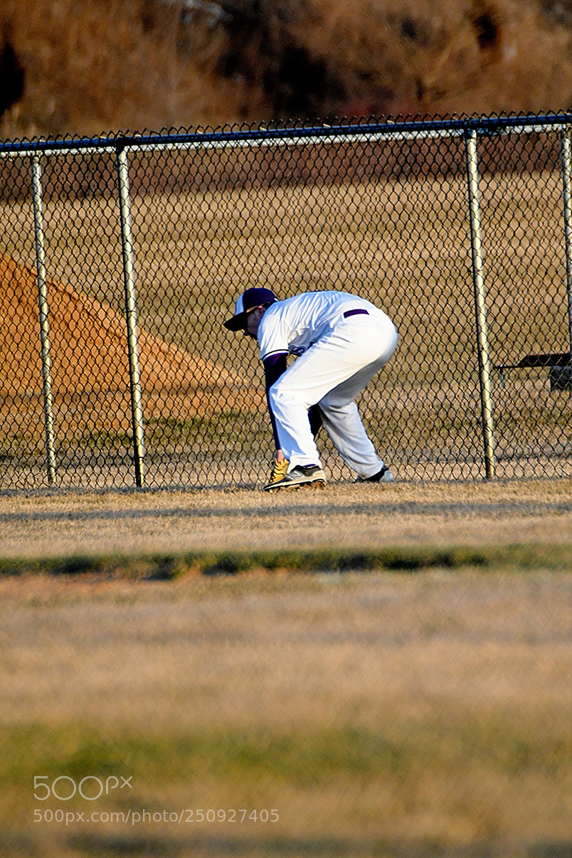 Nikon D500 sample photo. 3-22_0630.jpg photography