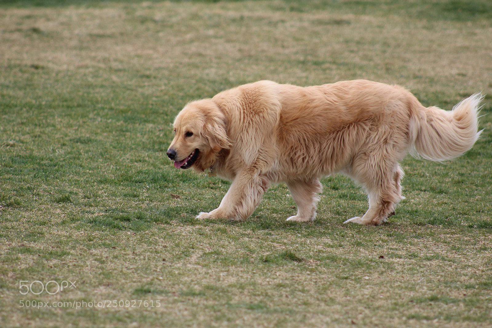 Canon EOS 1300D (EOS Rebel T6 / EOS Kiss X80) sample photo. Lab photography