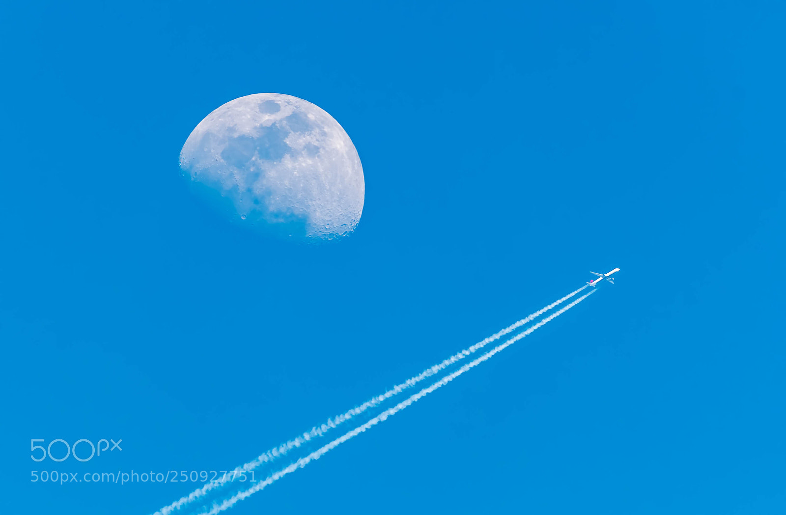 Nikon D500 sample photo. Flying under the moon photography