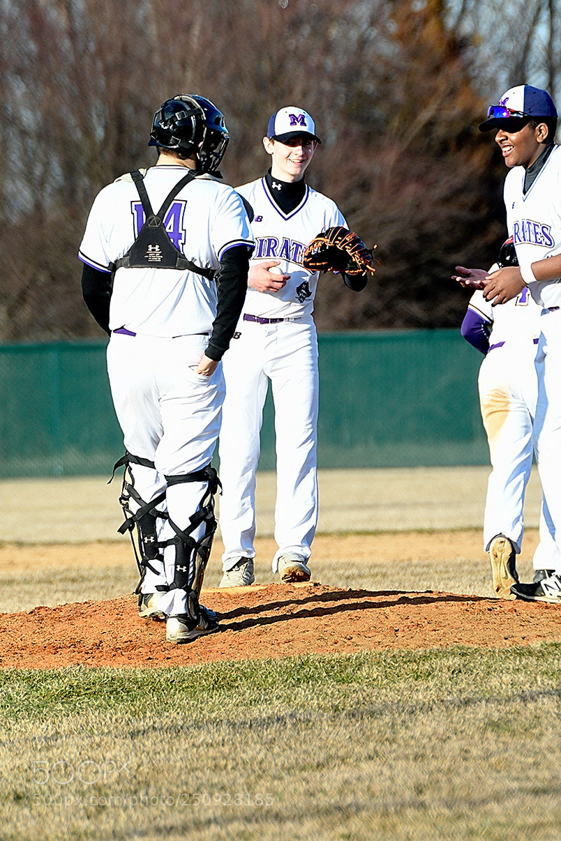 Nikon D500 sample photo. 3-22_0157.jpg photography
