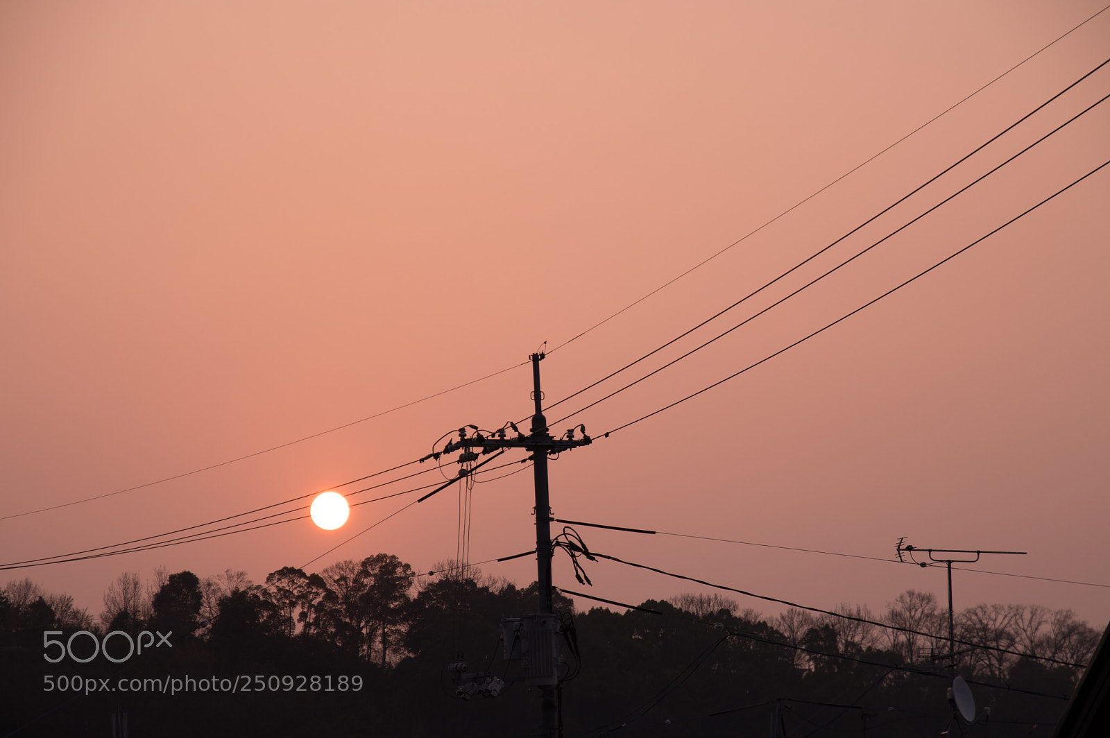 Pentax KP sample photo. Untitled photography