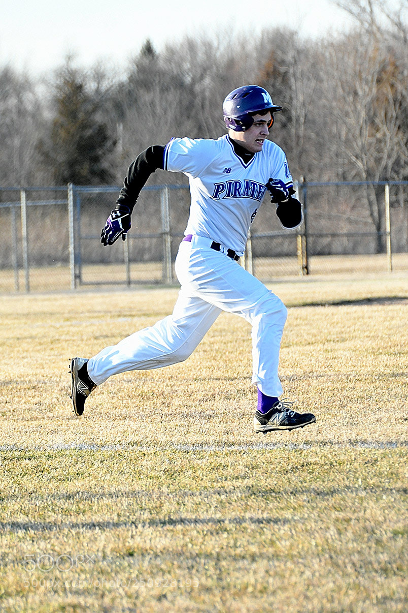 Nikon D500 sample photo. 3-22_0429.jpg photography