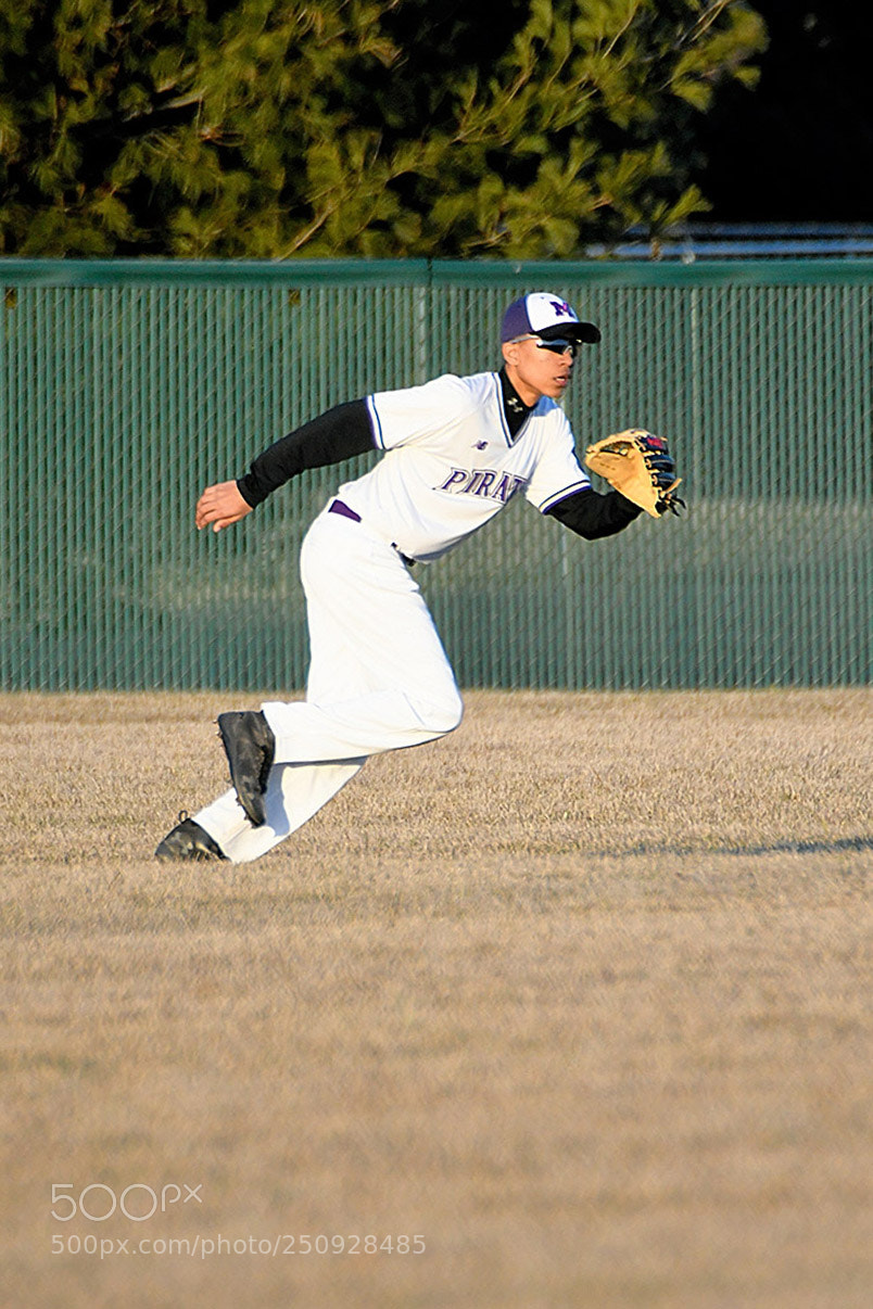 Nikon D500 sample photo. 3-22_0640.jpg photography