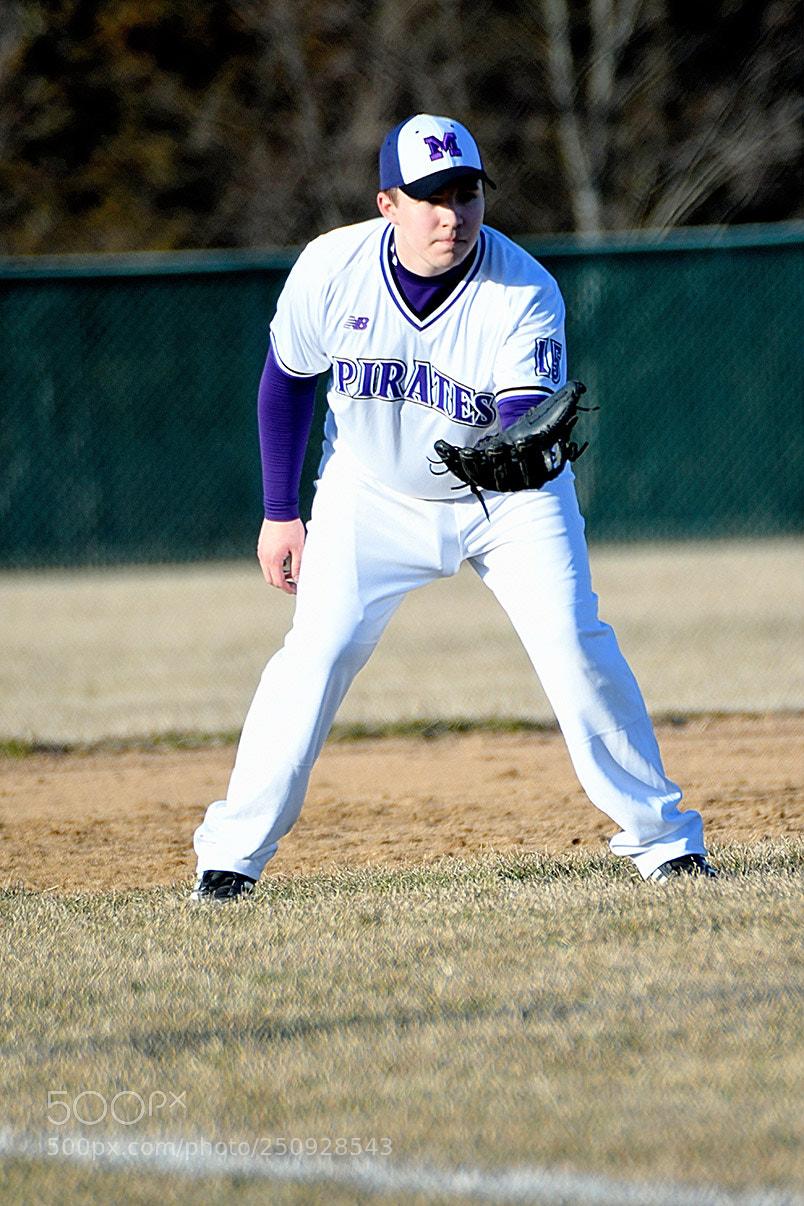 Nikon D500 sample photo. 3-22_0159.jpg photography