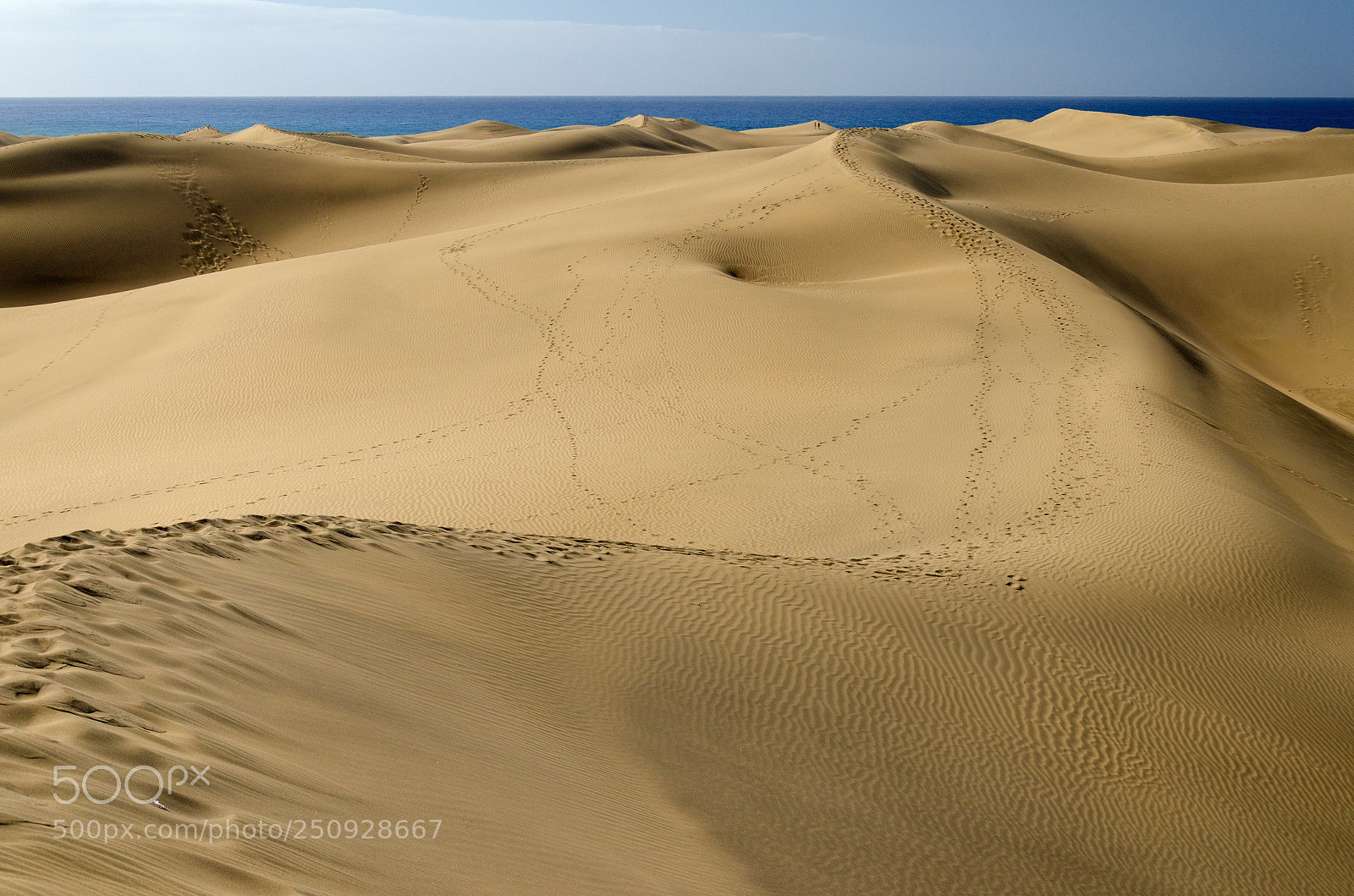 Nikon D7000 sample photo. Dunes photography