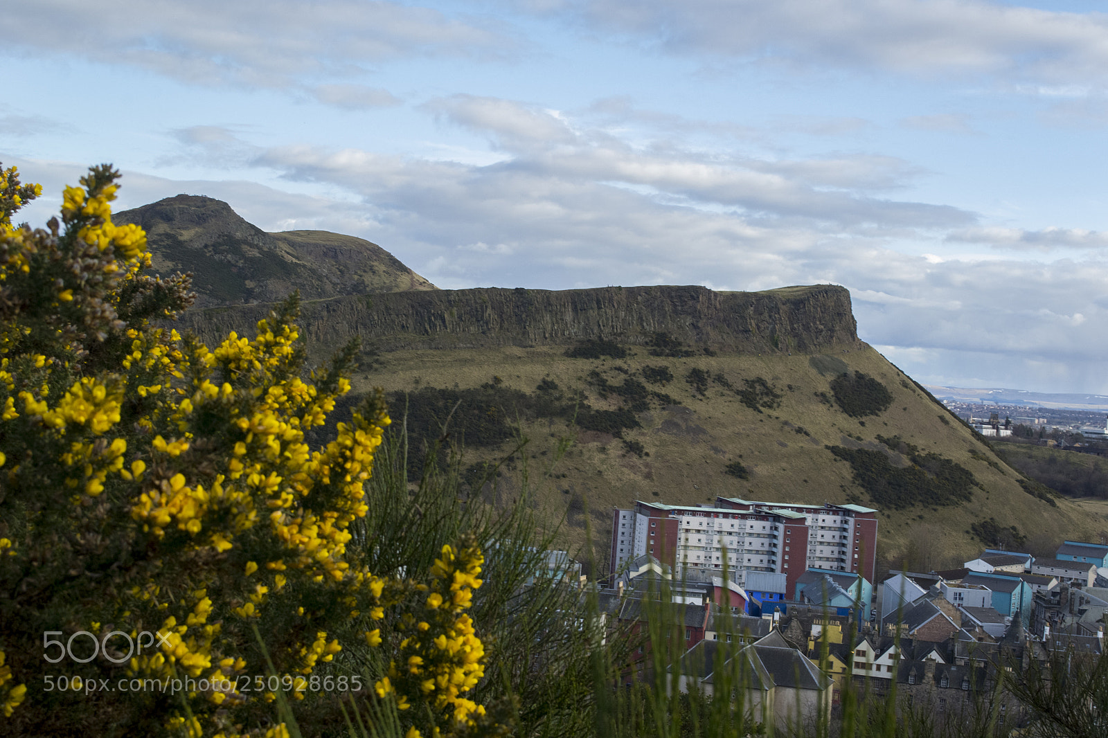 Nikon D3100 sample photo. Colourful edinburgh photography