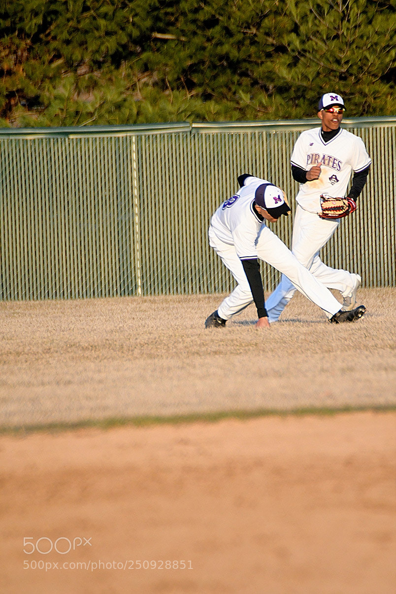 Nikon D500 sample photo. 3-22_0645.jpg photography