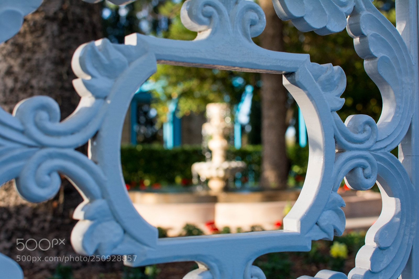 Nikon D7100 sample photo. Untitled photography