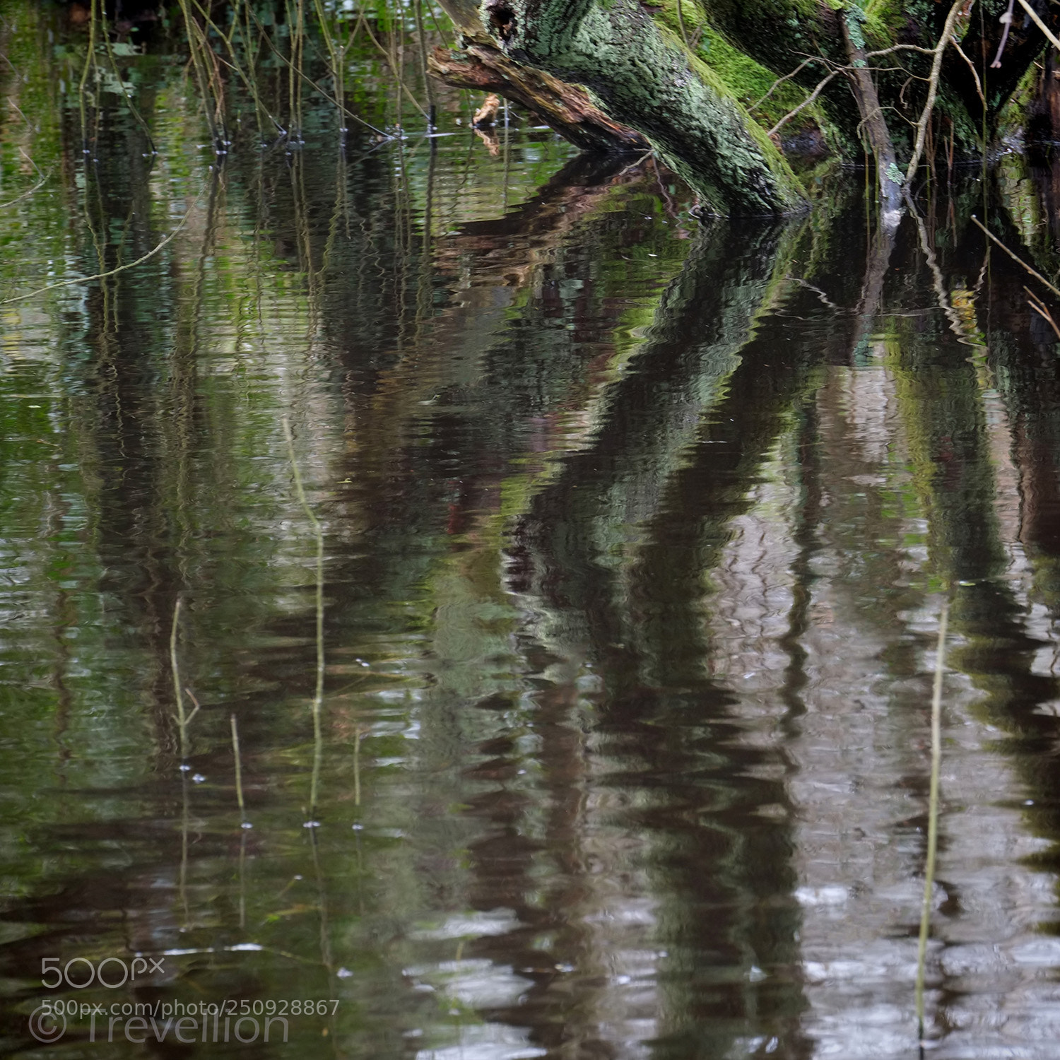 Fujifilm X-E1 sample photo. Reflections photography