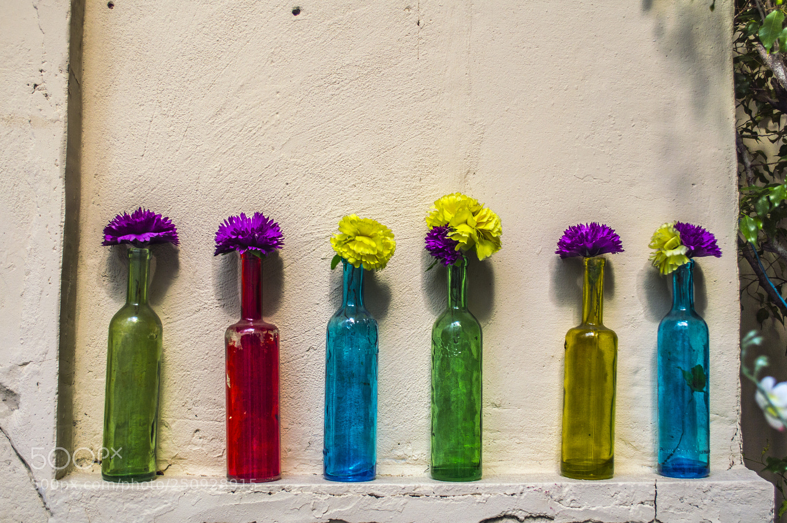 Nikon D3200 sample photo. Colour me photography