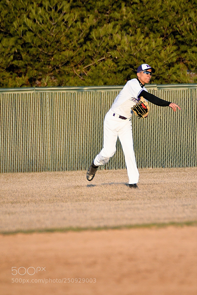 Nikon D500 sample photo. 3-22_0648.jpg photography
