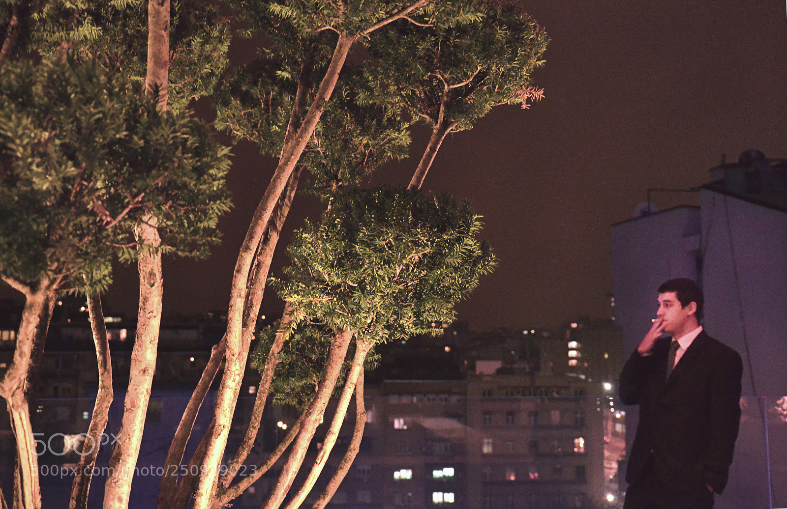 Nikon D3100 sample photo. Mister v. photography