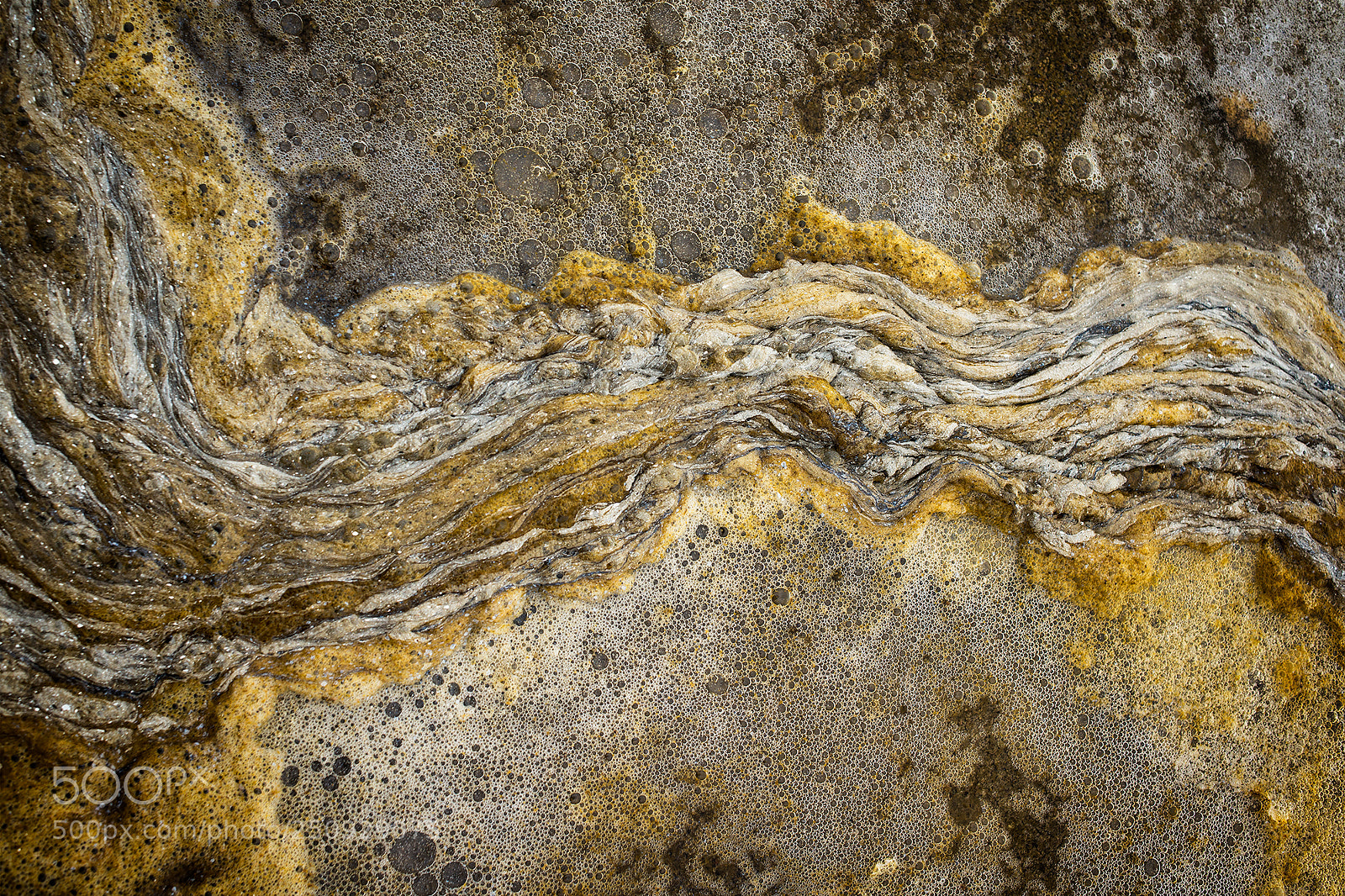Nikon D800 sample photo. Fallow scum photography