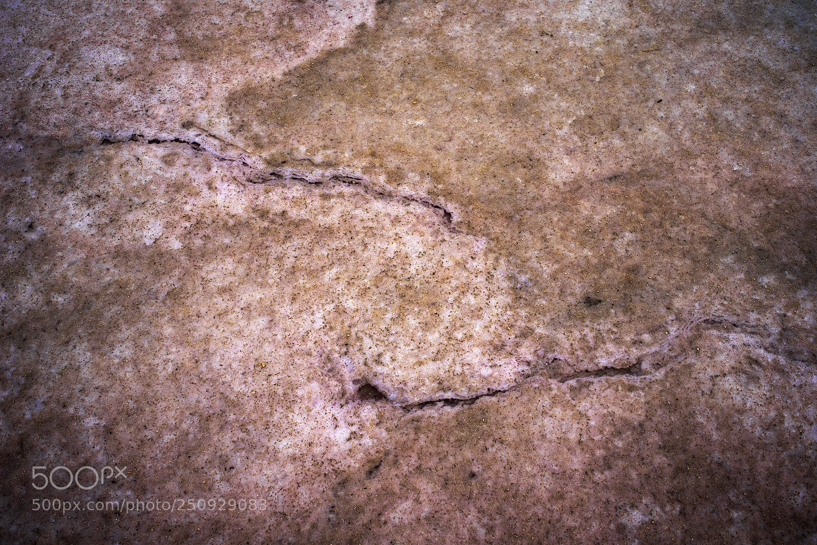 Nikon D800 sample photo. Salt of the earth photography