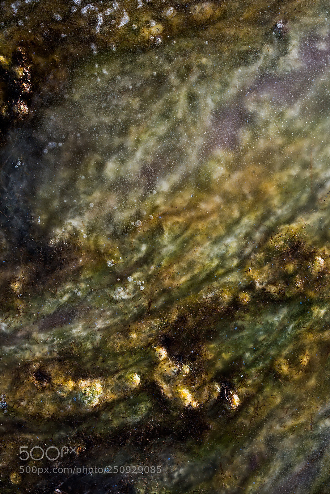 Nikon D800 sample photo. Nebula photography