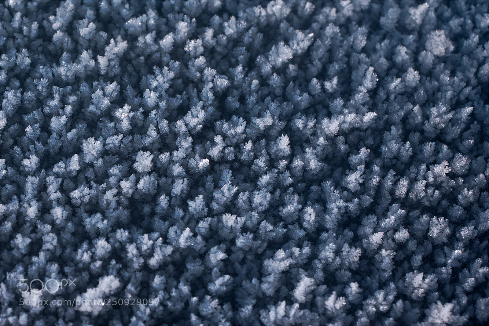 Nikon D800 sample photo. Snow photography