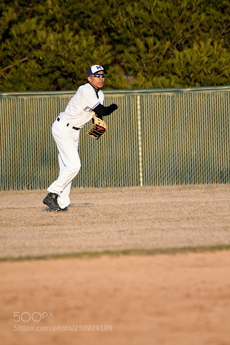 Nikon D500 sample photo. 3-22_0650.jpg photography