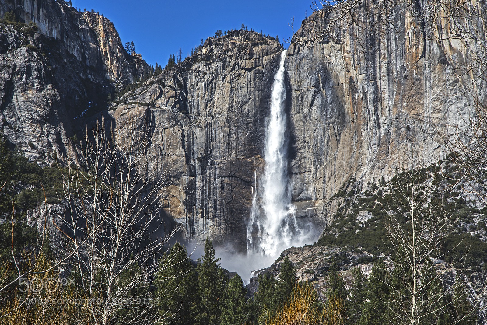 Nikon D610 sample photo. Yosemite national park photography