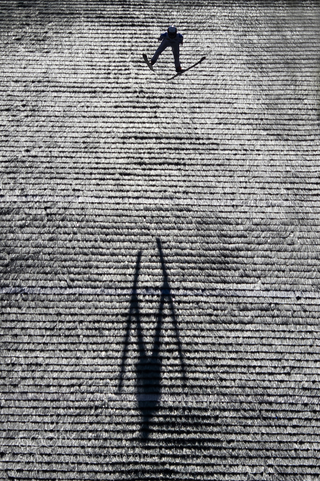 Canon EOS 5D Mark II sample photo. Soaring shadow photography